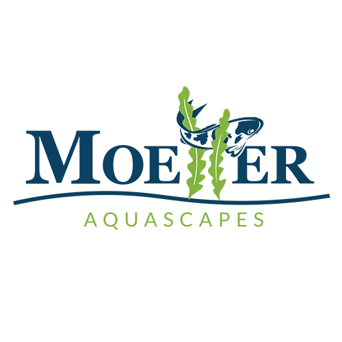 Moeller Aquascapes